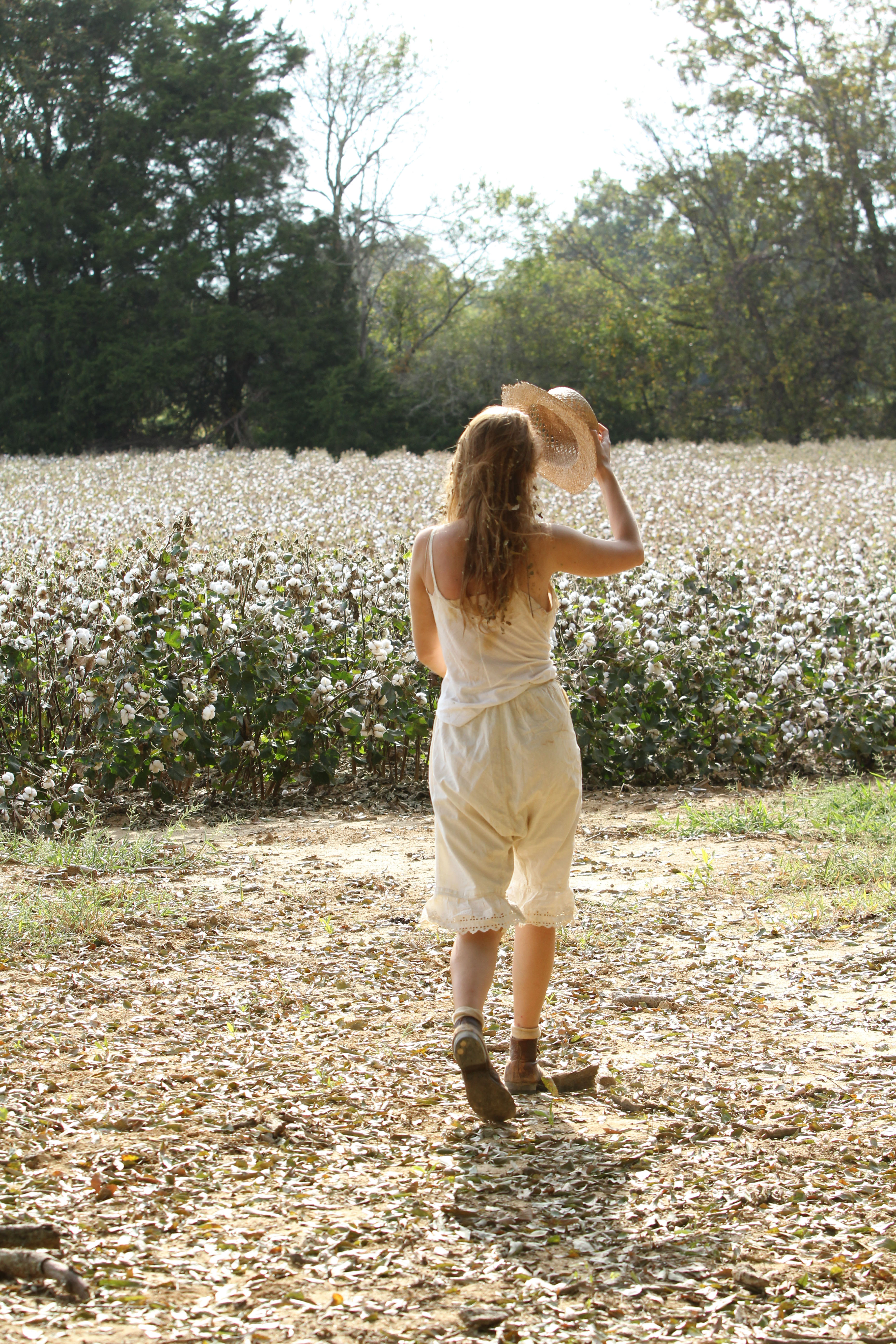 在我弥留之际剧照的剧照