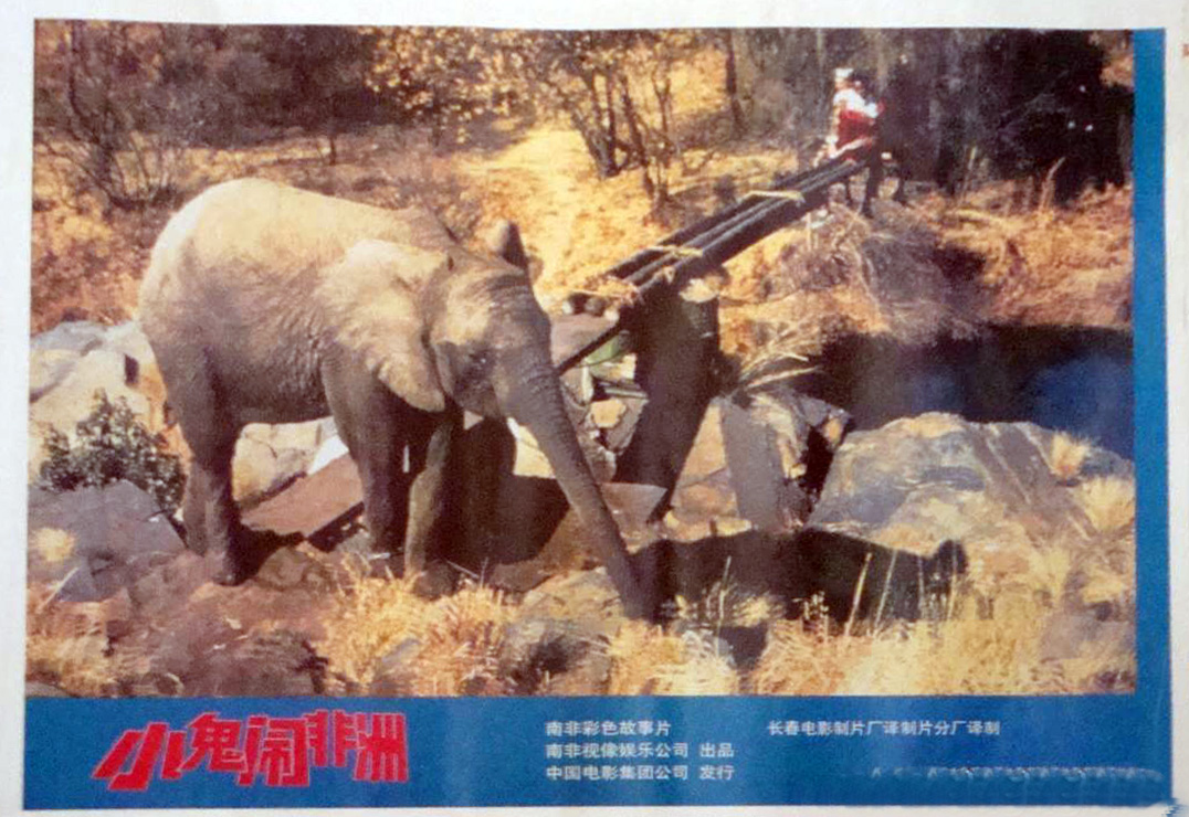 小鬼闹非洲剧照的剧照