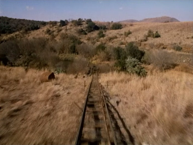 小鬼闹非洲剧照的剧照