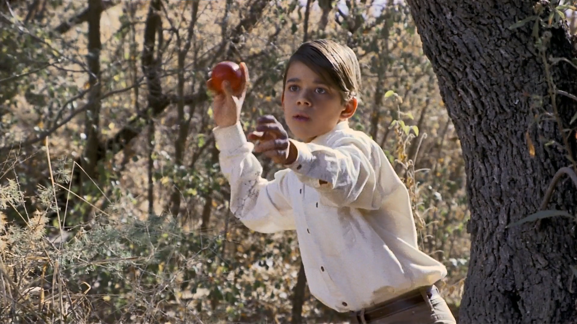 小鬼闹非洲剧照的剧照