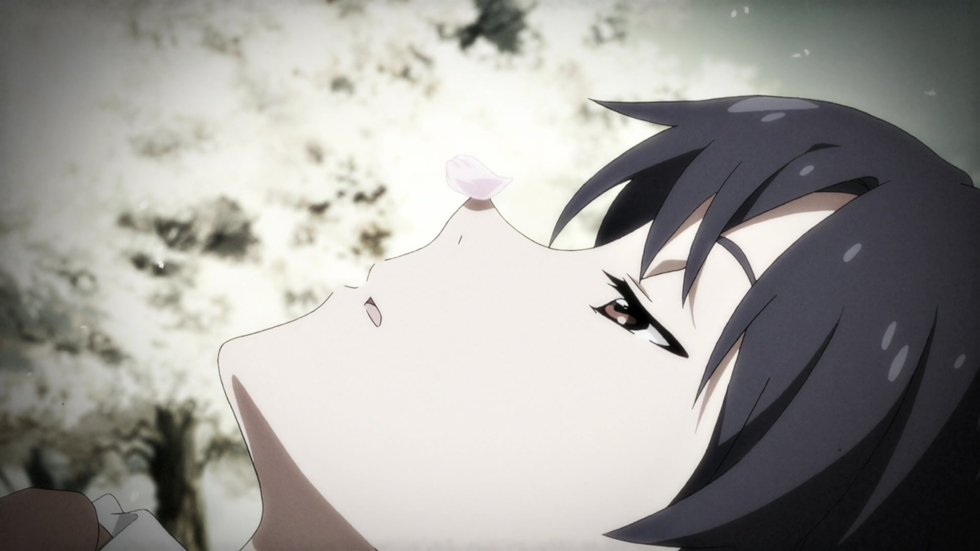 偶像大师剧场版：前往光辉的彼端剧照的剧照