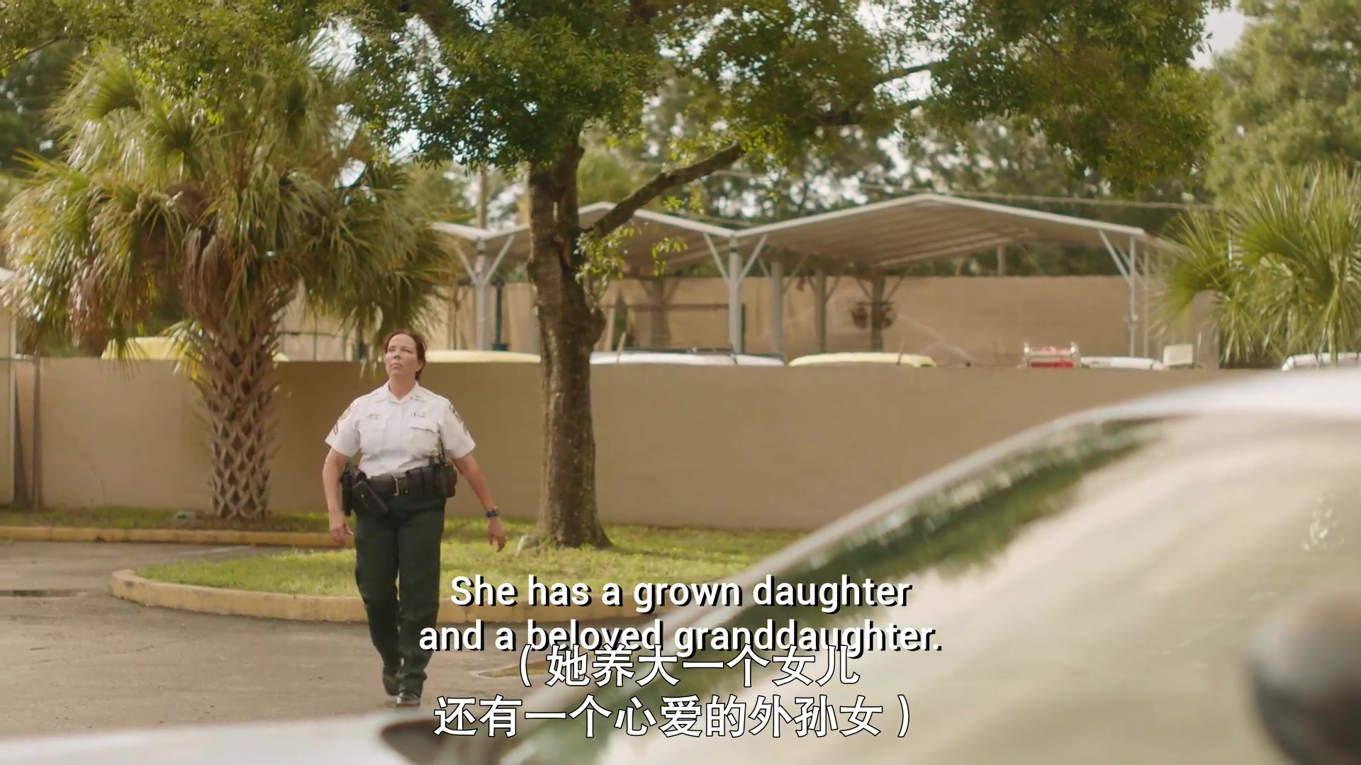 相信我：被诱拐的丽莎·麦克维剧照的剧照