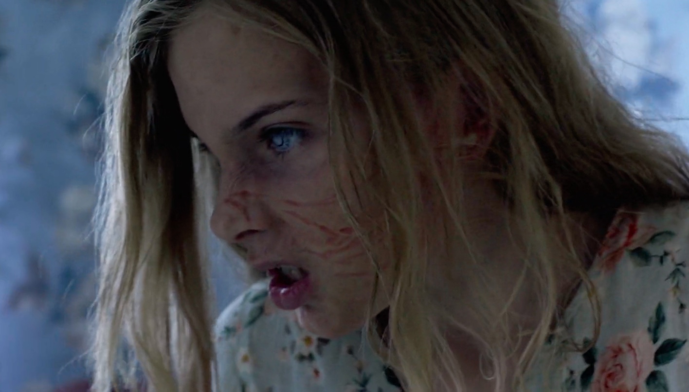 孵化剧照的剧照