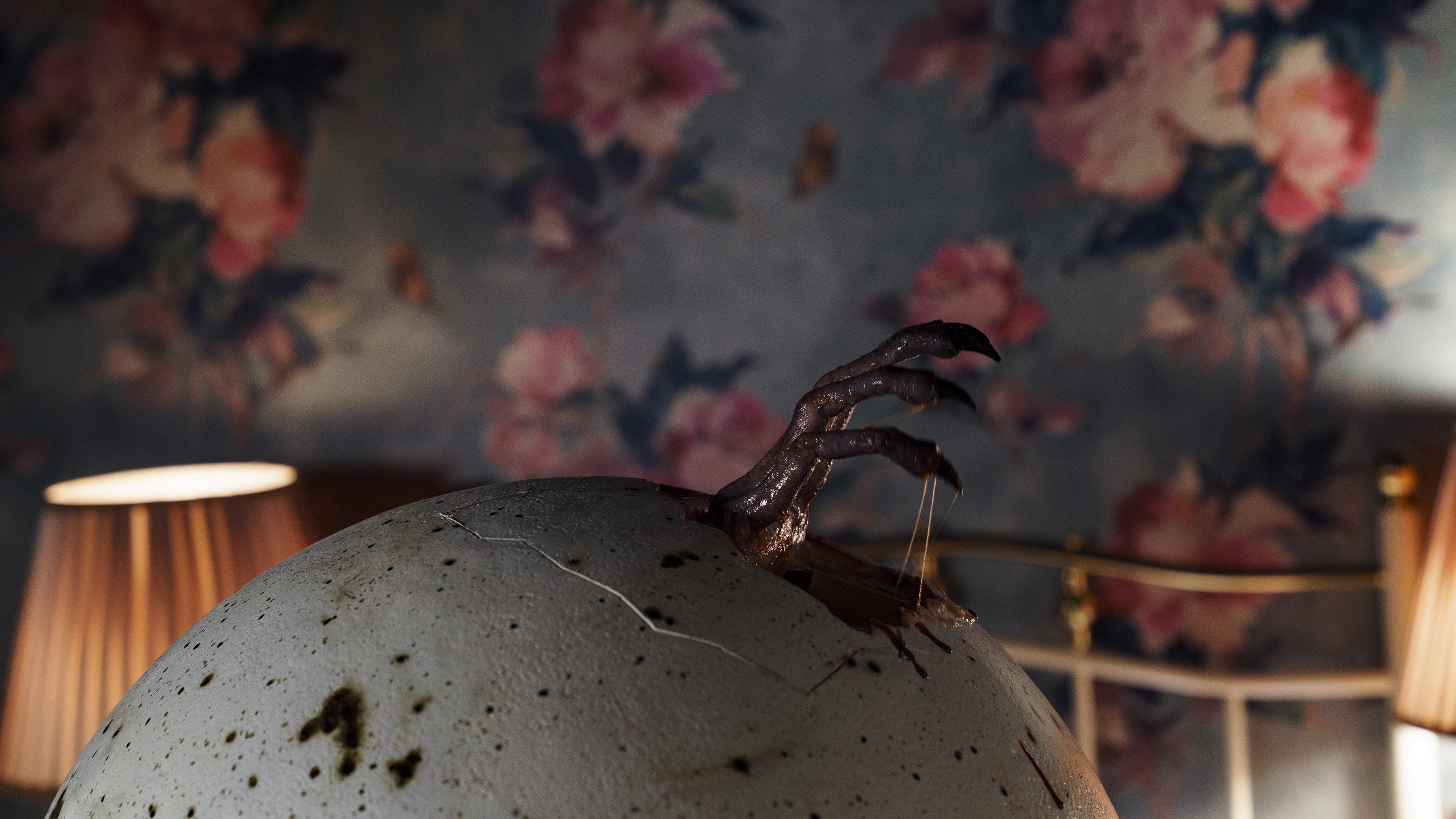 孵化剧照的剧照