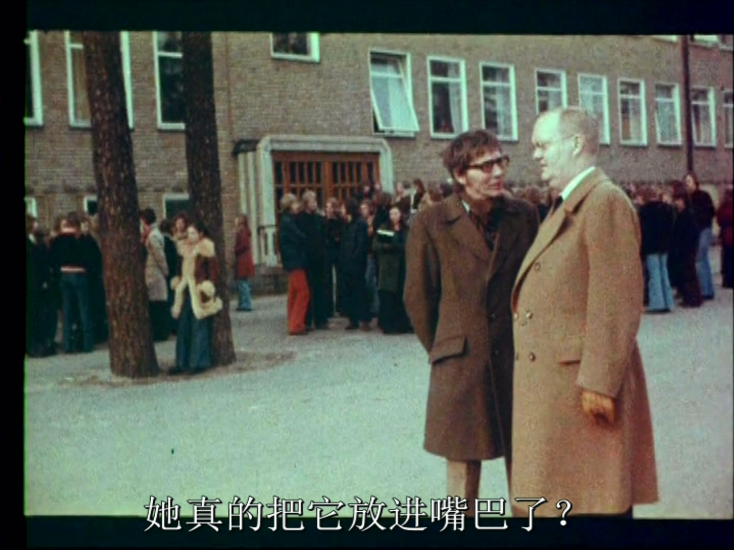 瑞典少女阿尼塔剧照的剧照