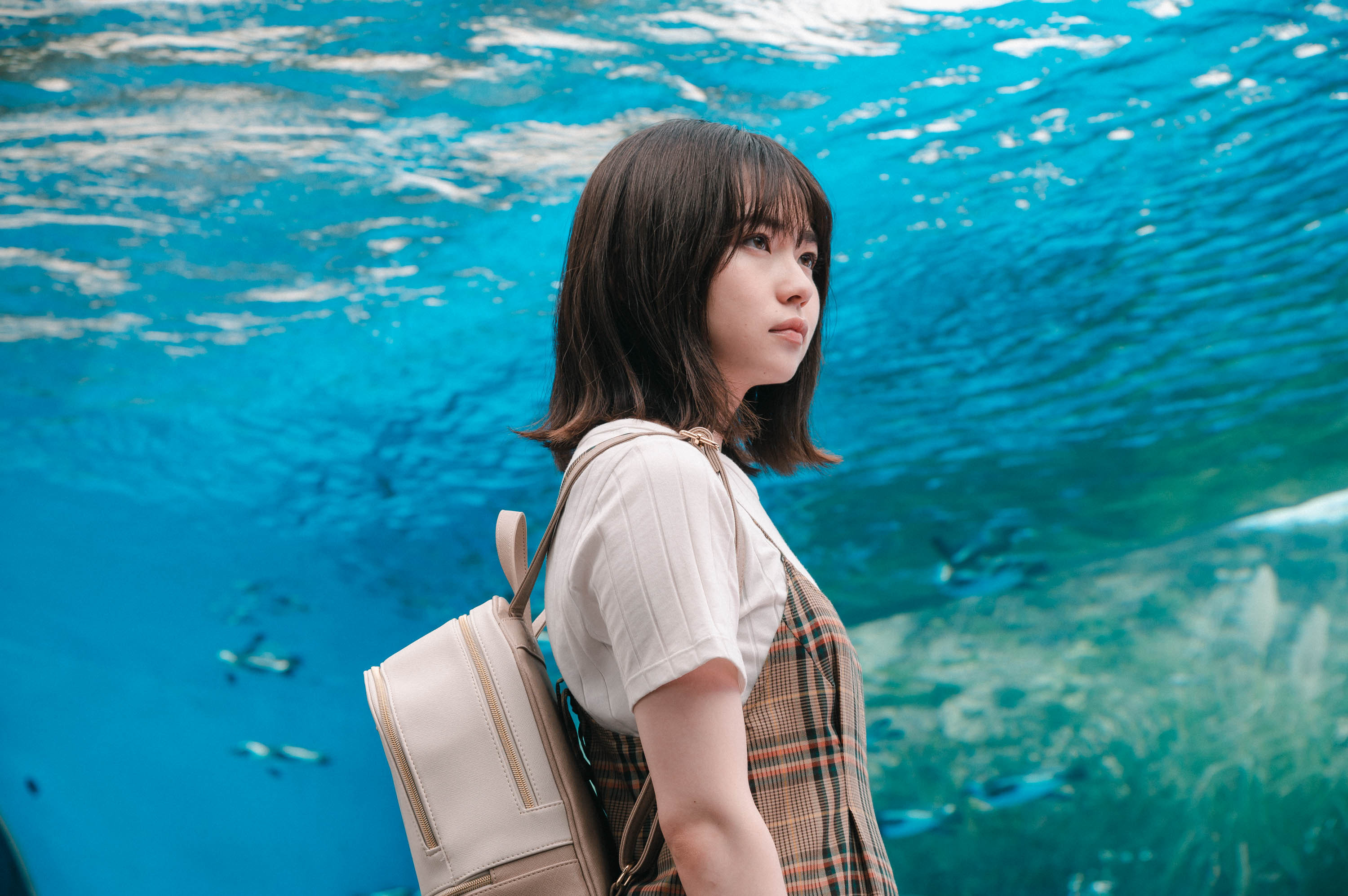 她喜欢的是剧照的剧照