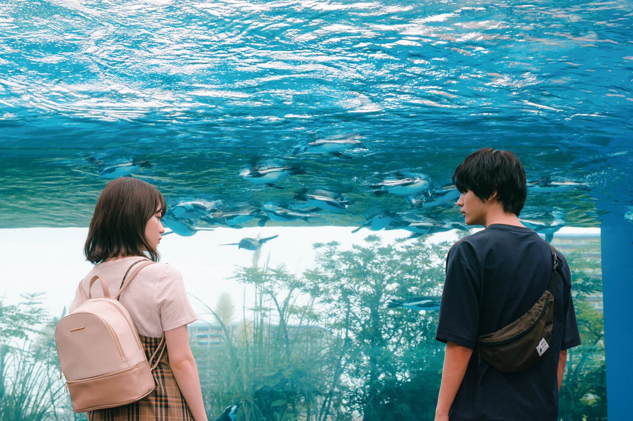 她喜欢的是剧照的剧照