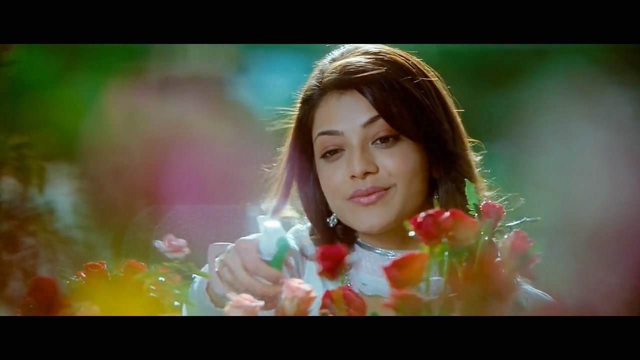 双拳无敌剧照的剧照