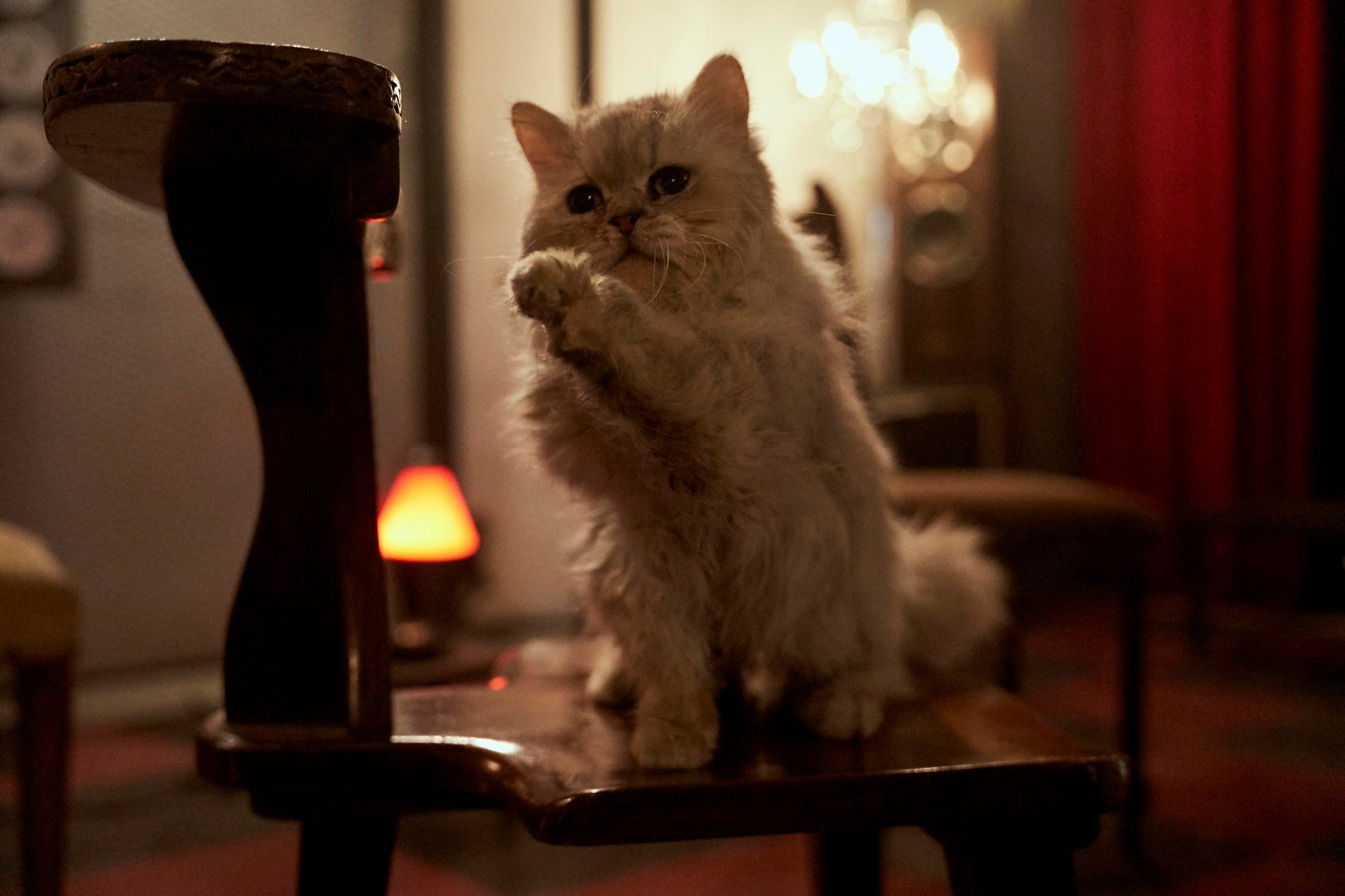 午夜少女大战剧照的剧照