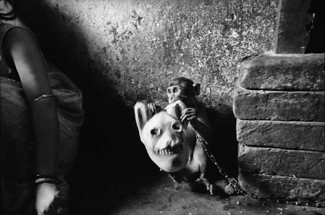 小小摄影师的异想世界剧照的剧照