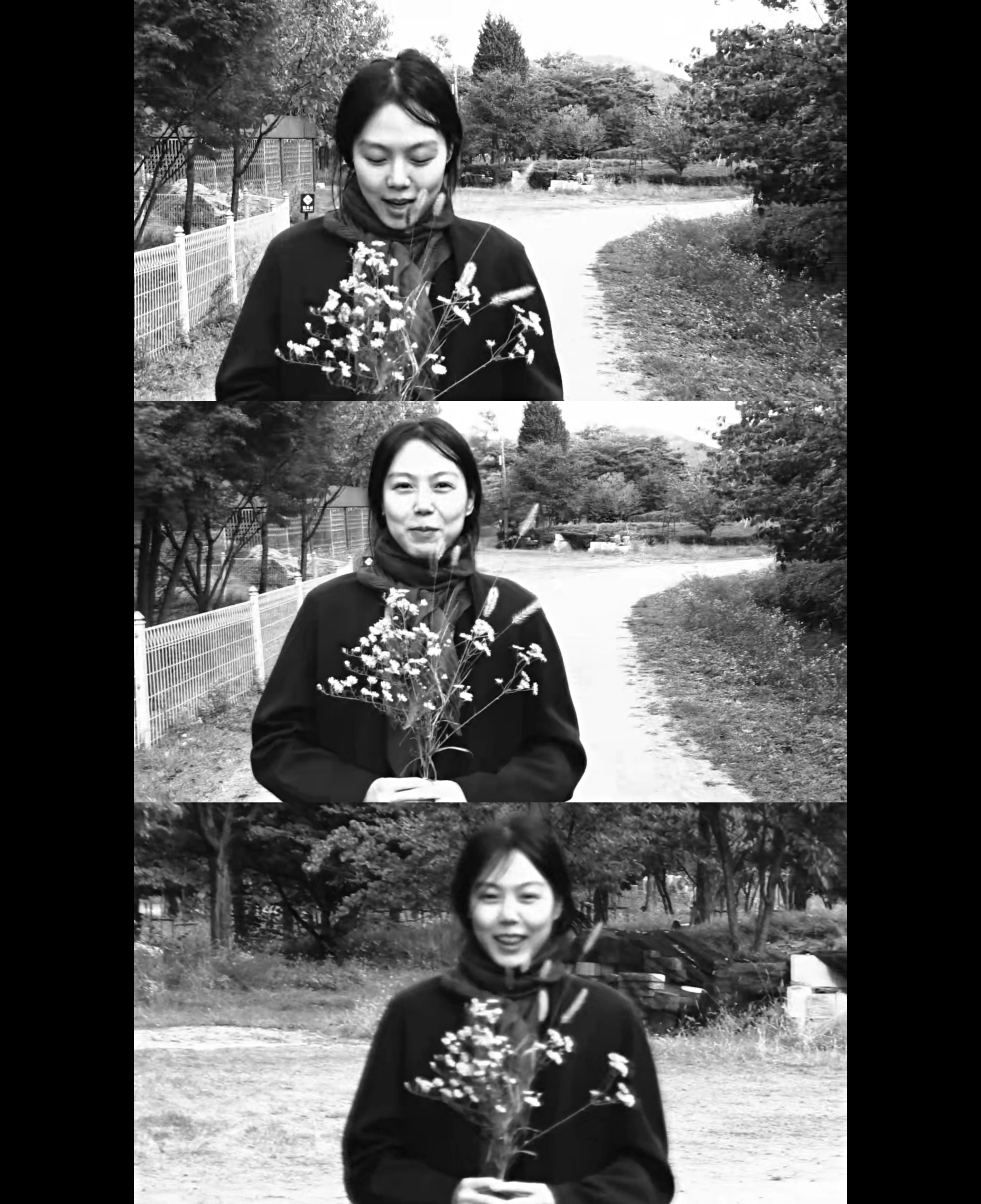 小说家的电影剧照的剧照