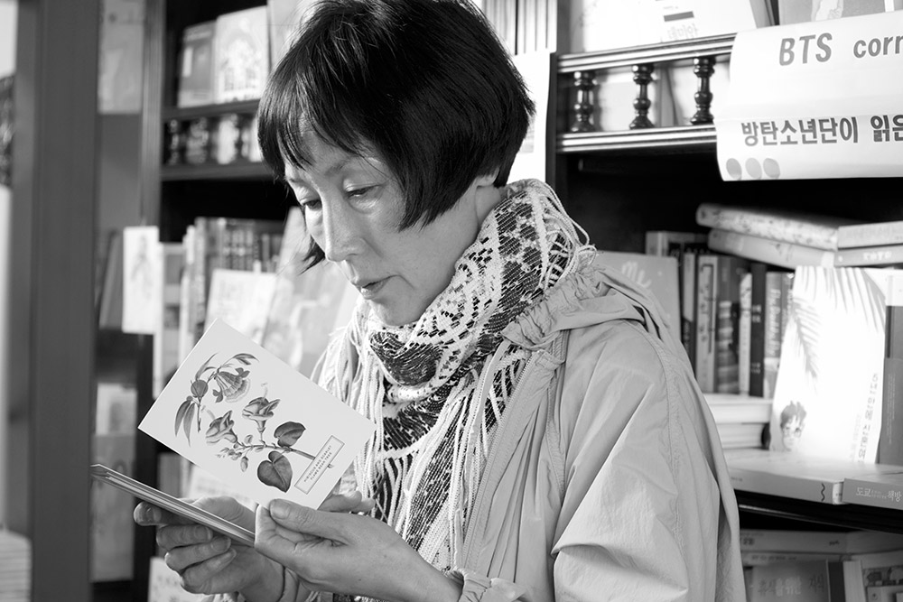 小说家的电影剧照的剧照