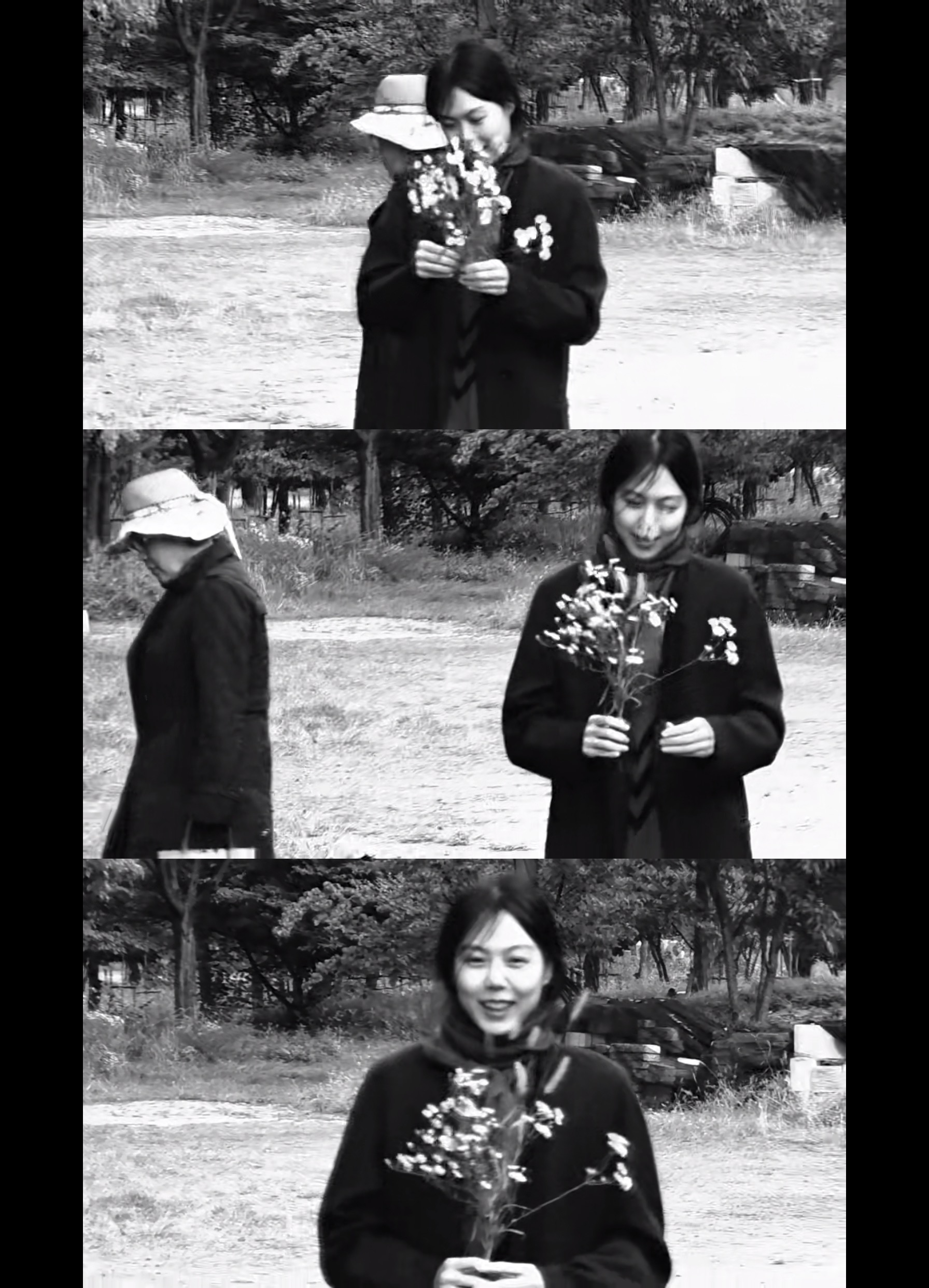 小说家的电影剧照的剧照