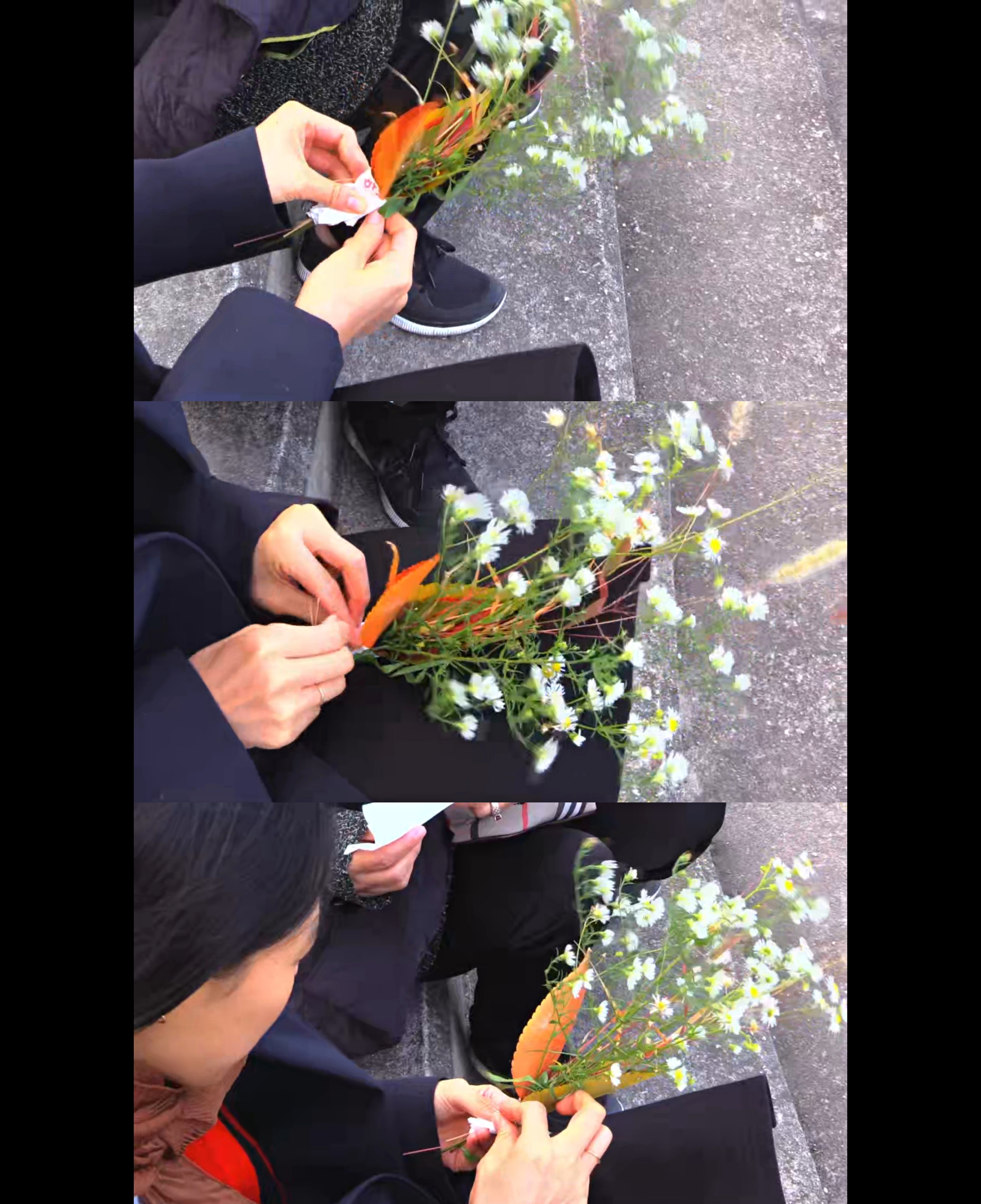 小说家的电影剧照的剧照