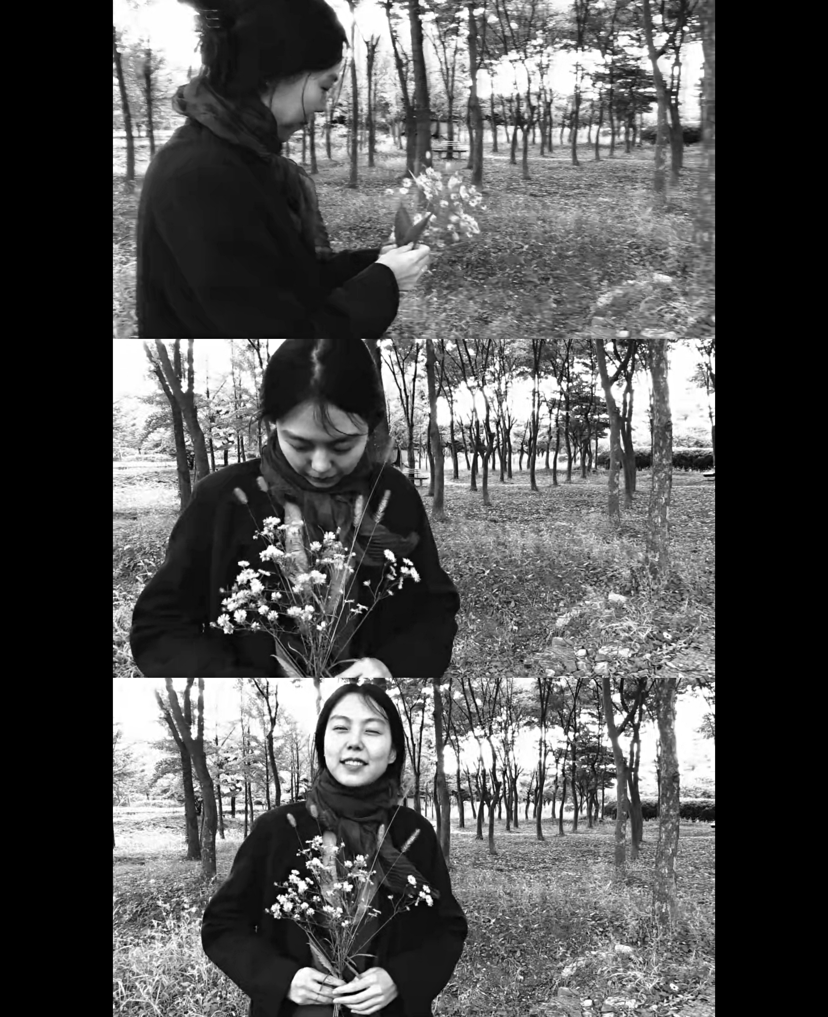 小说家的电影剧照的剧照