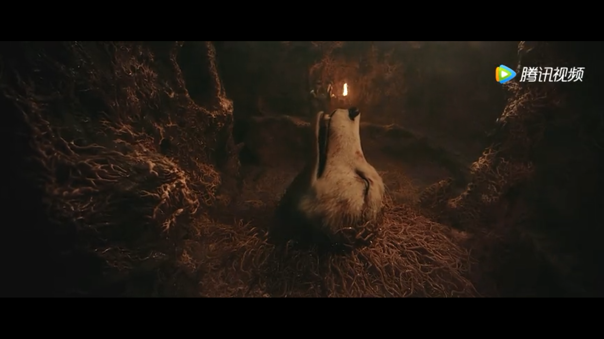 山村狐妻剧照的剧照