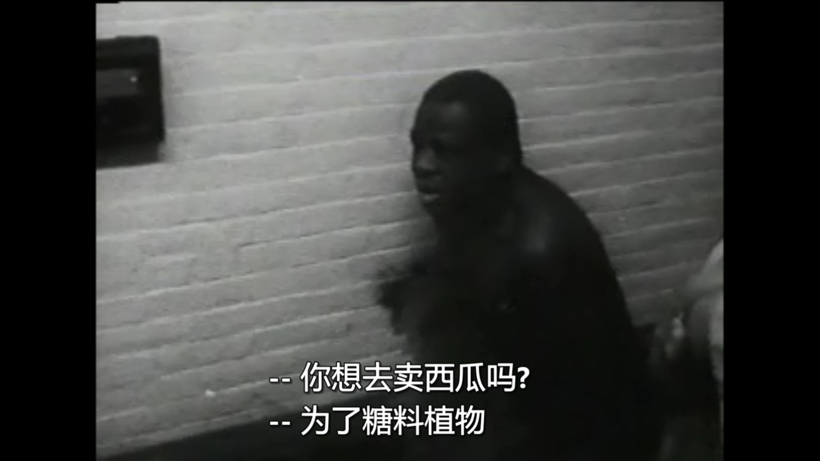 提提卡失序记事剧照的剧照