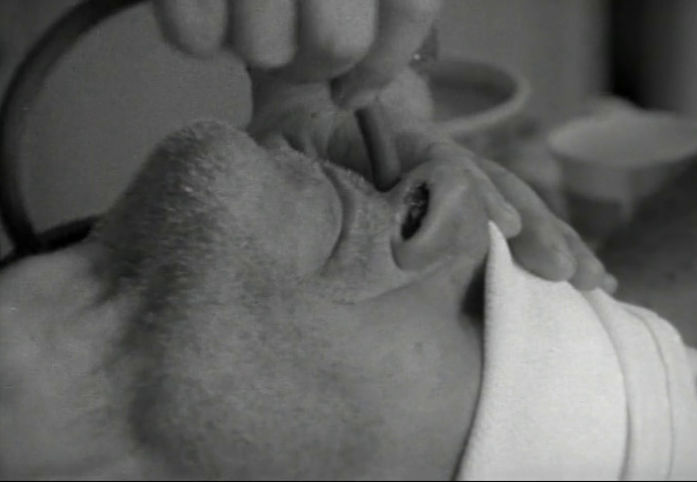 提提卡失序记事剧照的剧照