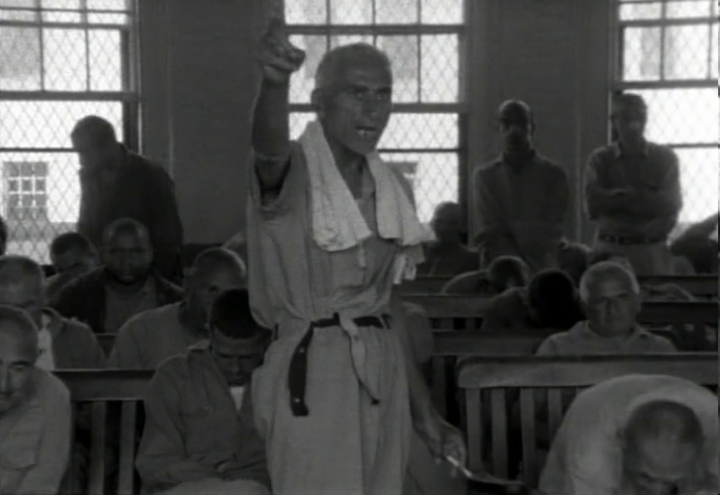 提提卡失序记事剧照的剧照