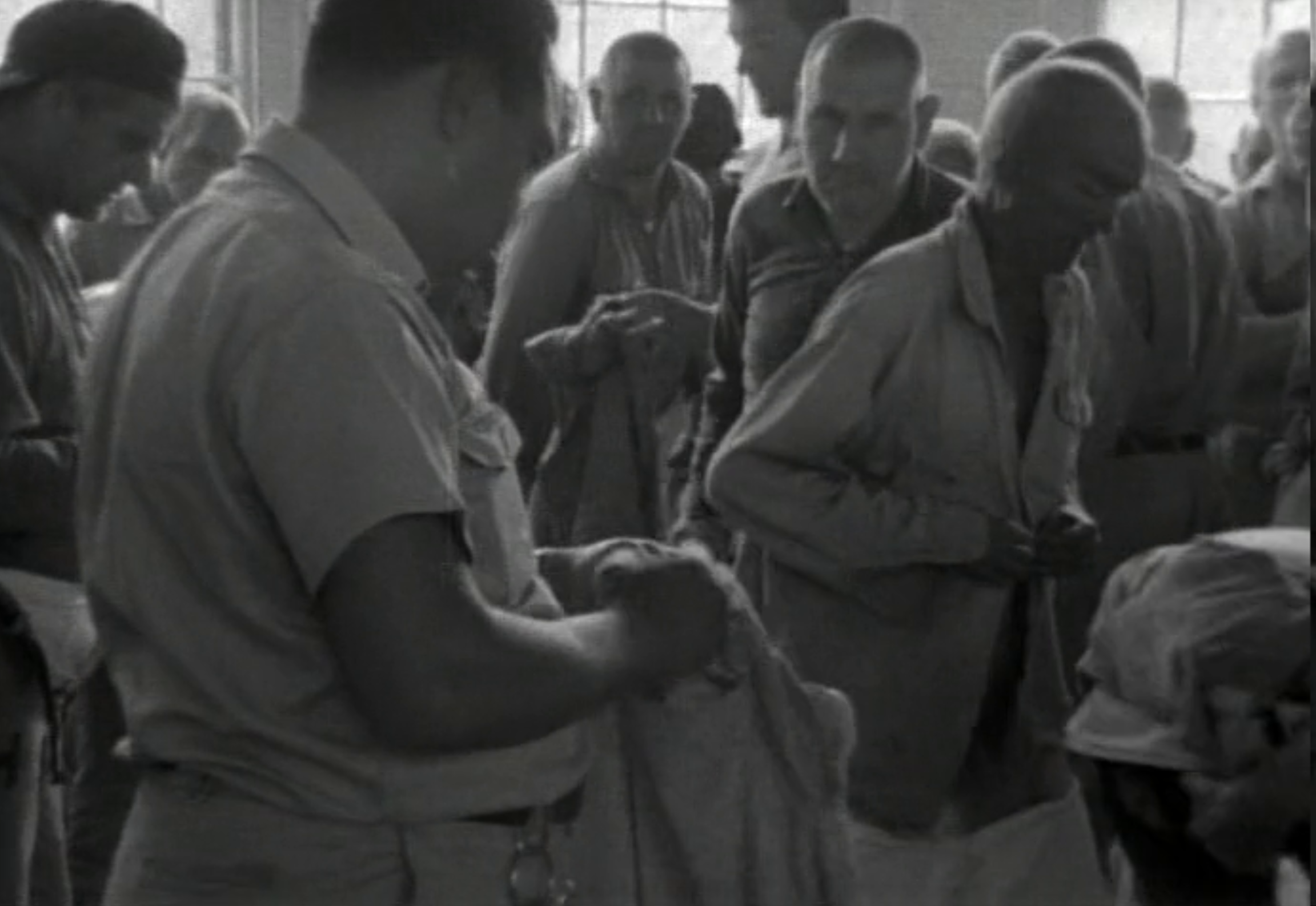 提提卡失序记事剧照的剧照