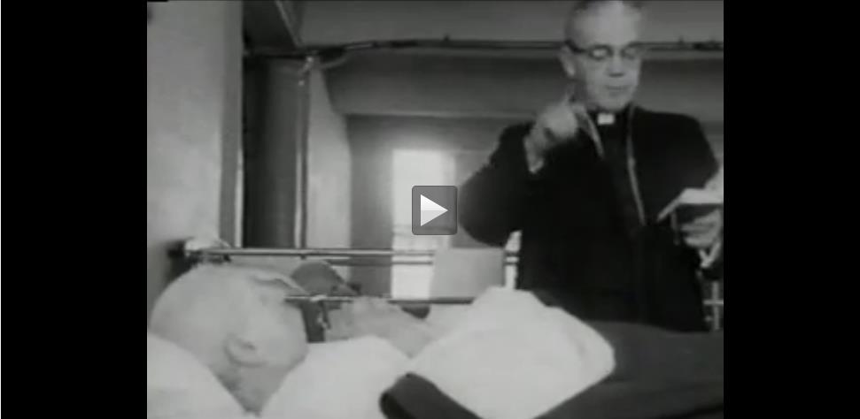 提提卡失序记事剧照的剧照