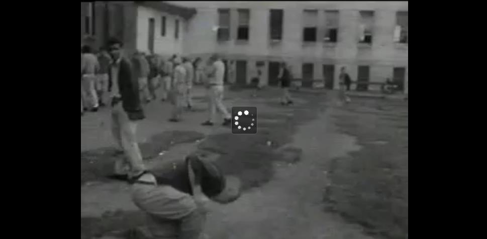 提提卡失序记事剧照的剧照