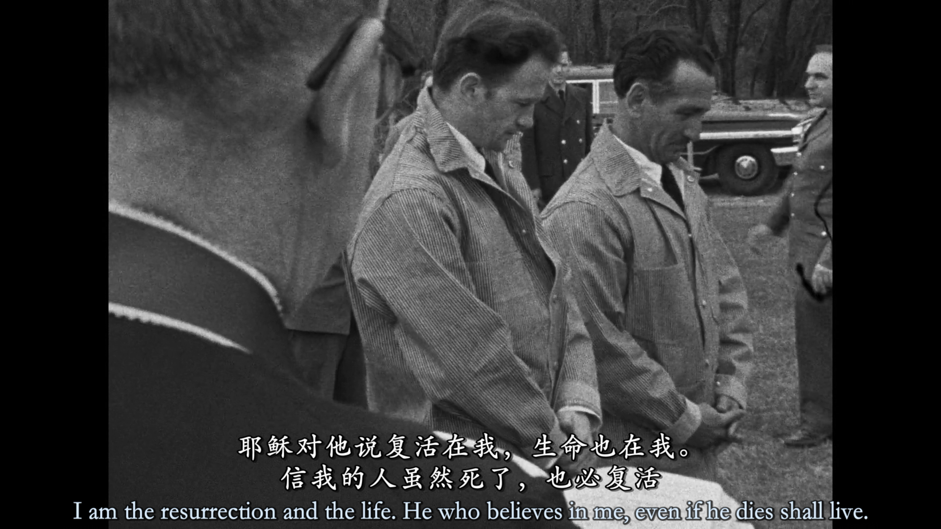 提提卡失序记事剧照的剧照