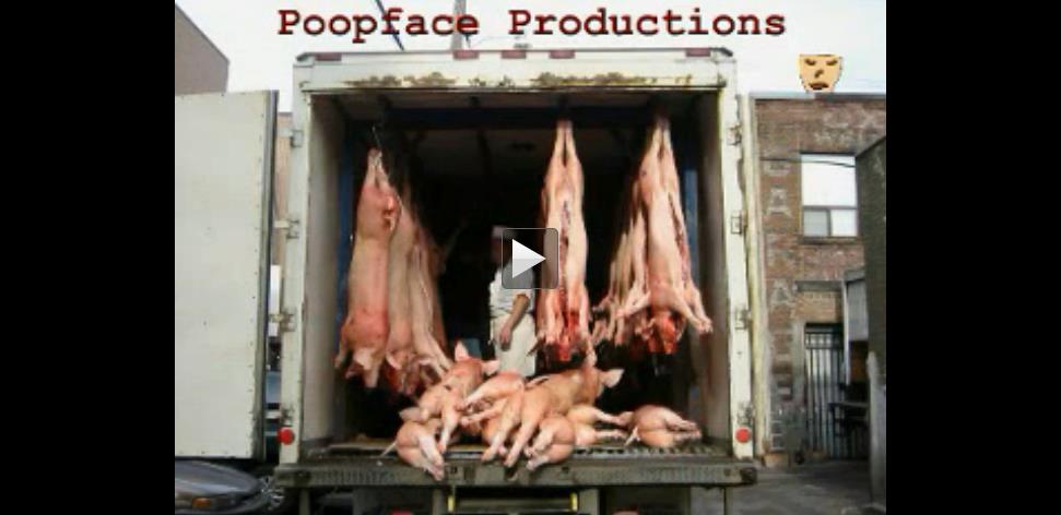 提提卡失序记事剧照的剧照