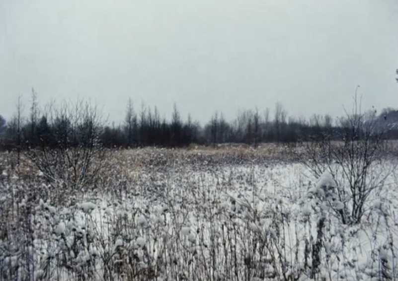 静态自杀剧照的剧照