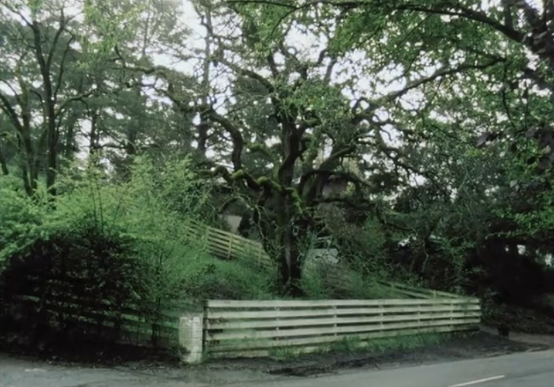 静态自杀剧照的剧照