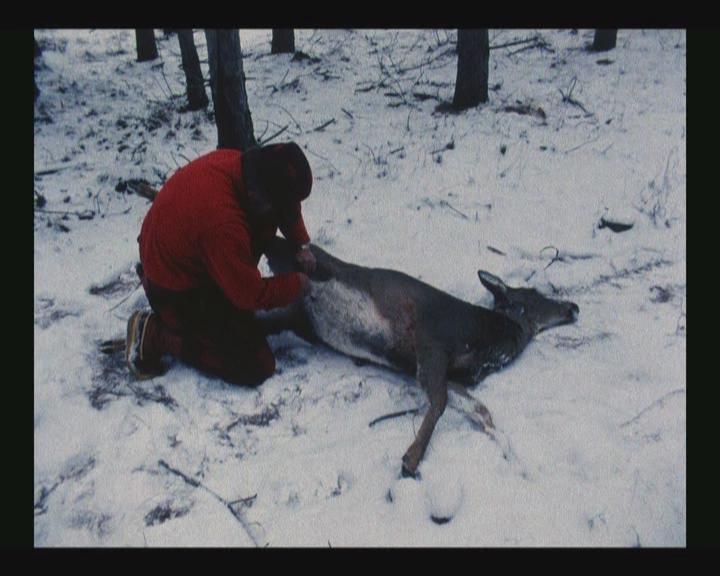 静态自杀剧照的剧照