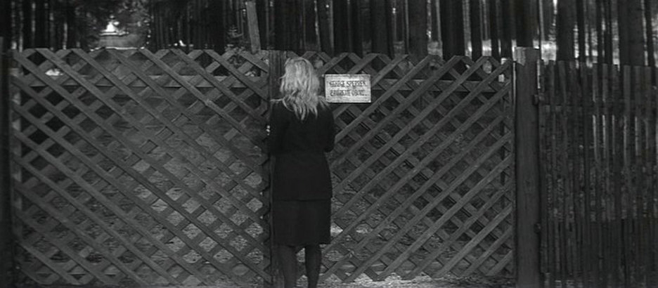 维也纳快车剧照的剧照