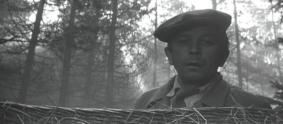 维也纳快车剧照的剧照