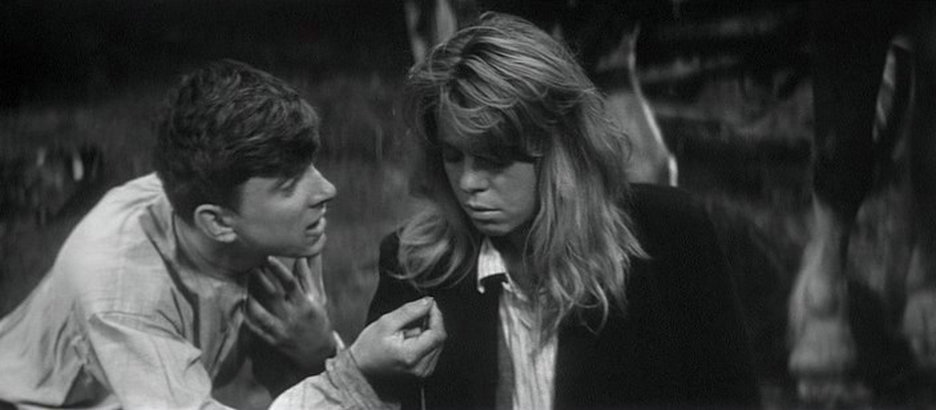 维也纳快车剧照的剧照