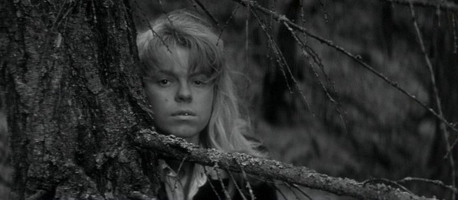 维也纳快车剧照的剧照