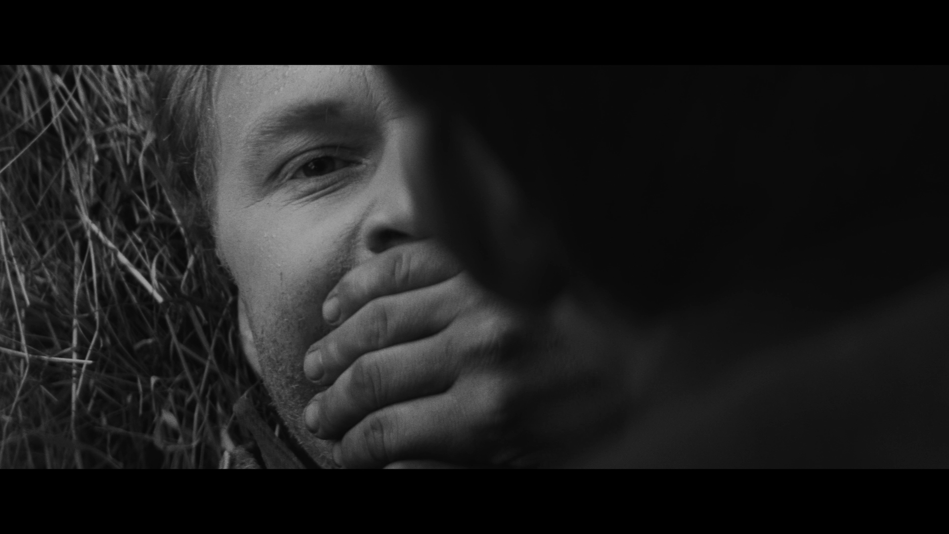 维也纳快车剧照的剧照