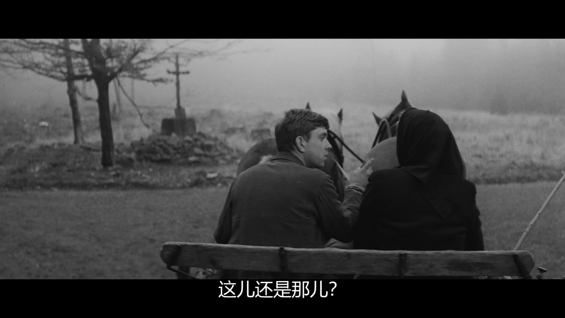 维也纳快车剧照的剧照