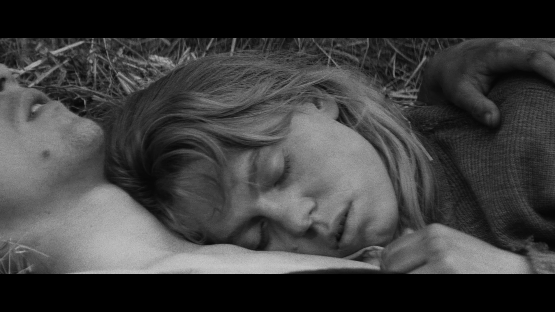 维也纳快车剧照的剧照