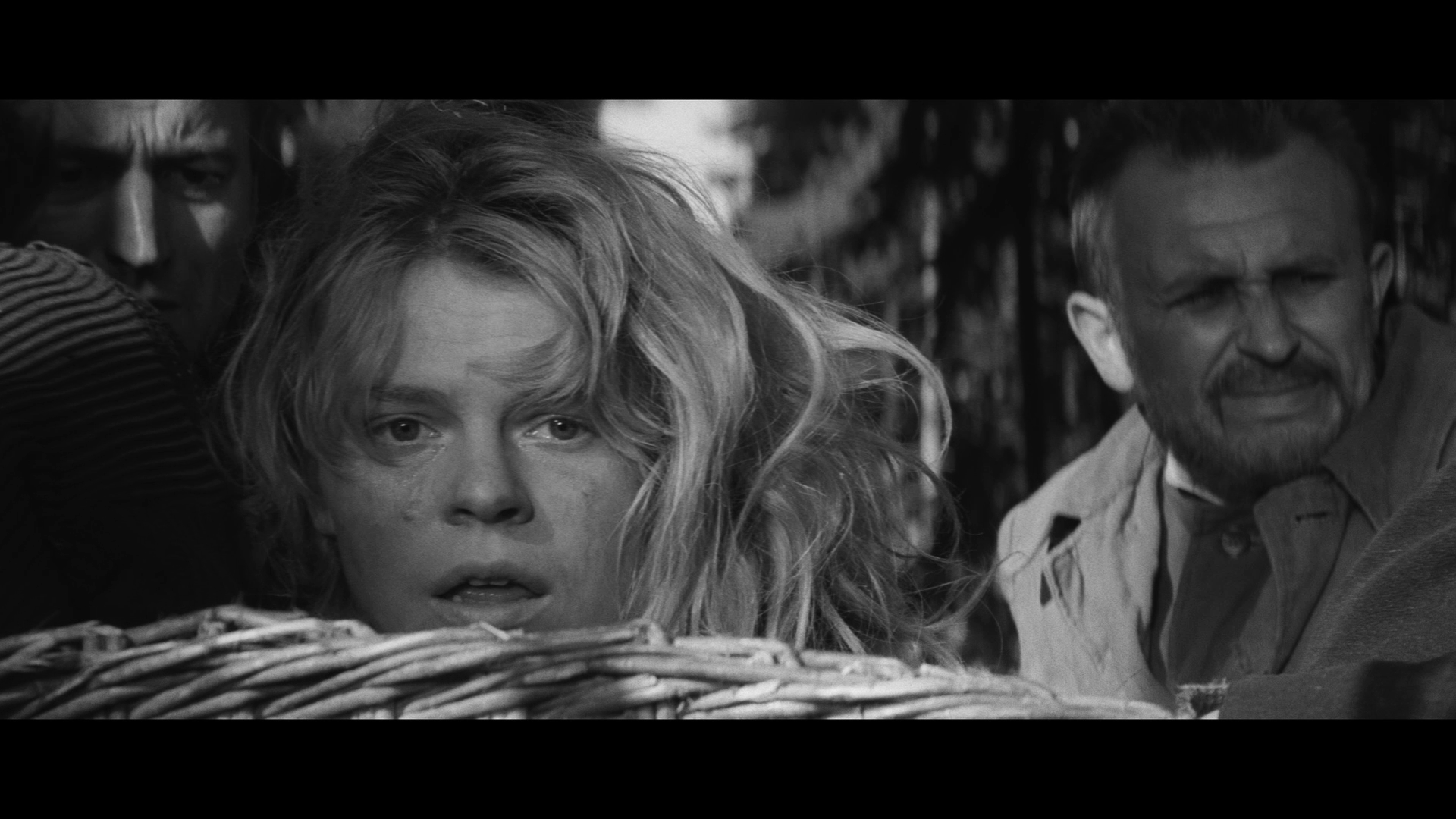 维也纳快车剧照的剧照