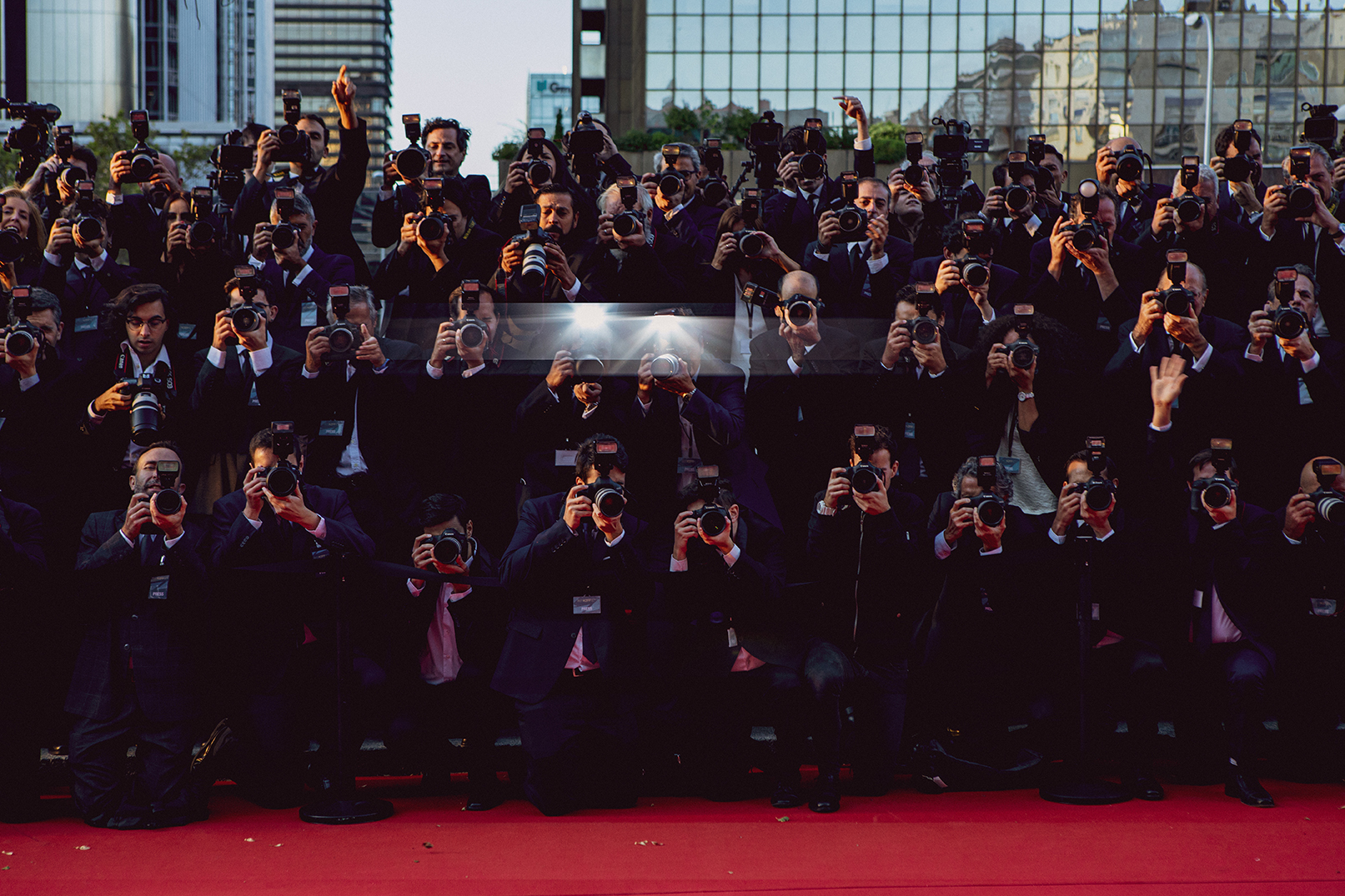 主竞赛剧照的剧照