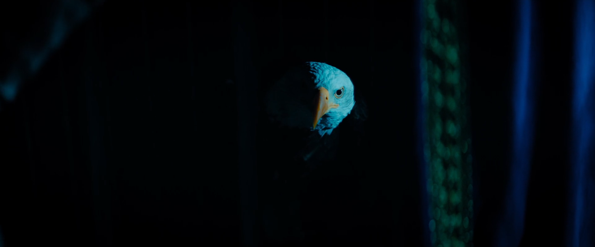 谁是超级英雄剧照的剧照