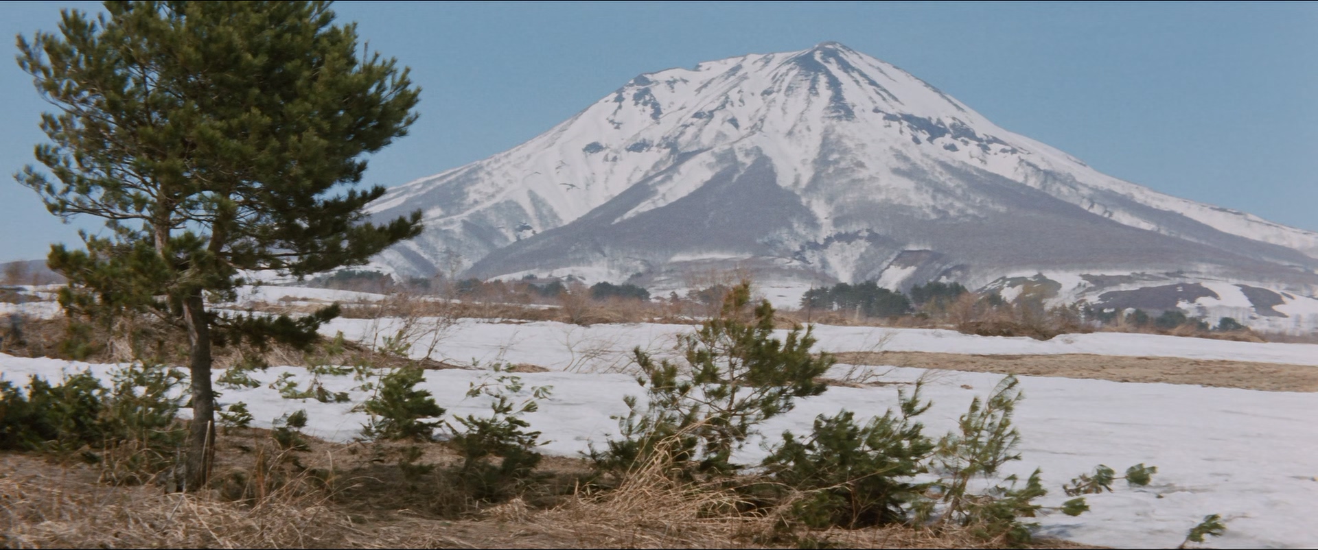 寅次郎的故事7：奋斗篇剧照的剧照