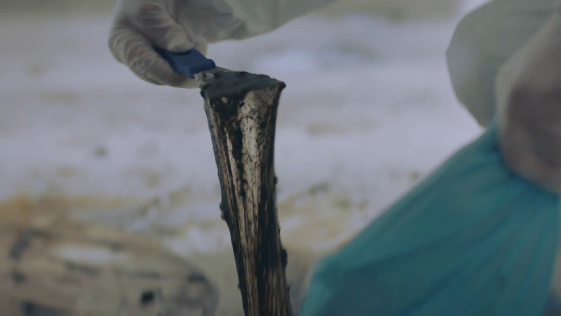 人生清理员剧照的剧照