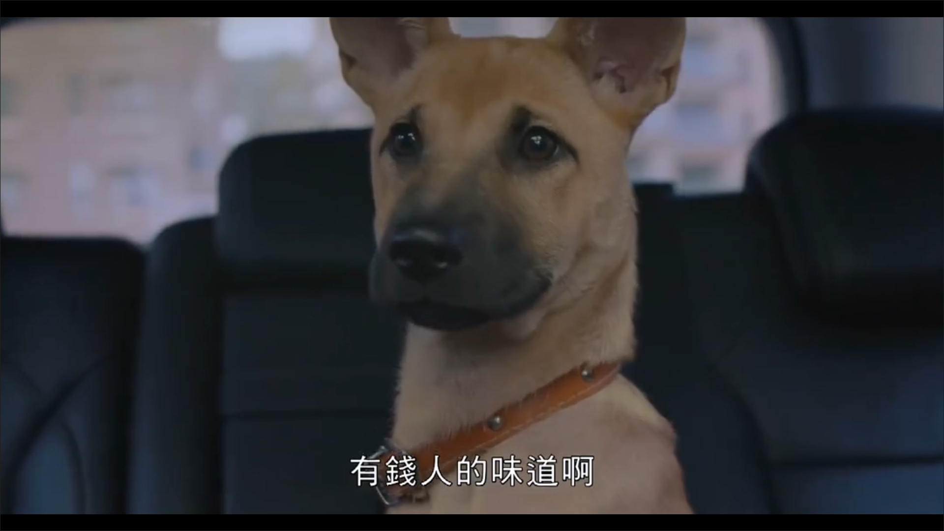 人生清理员剧照的剧照