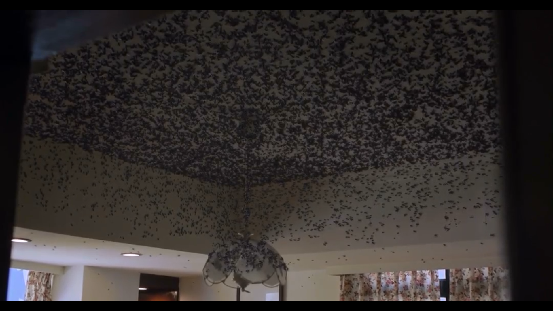 人生清理员剧照的剧照