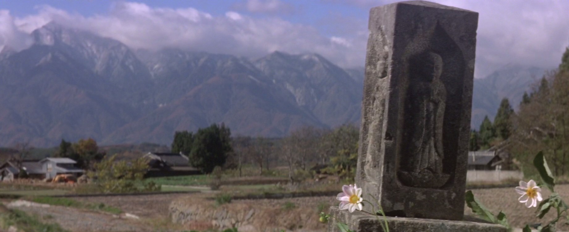 寅次郎的故事8：寅次郎恋歌剧照的剧照