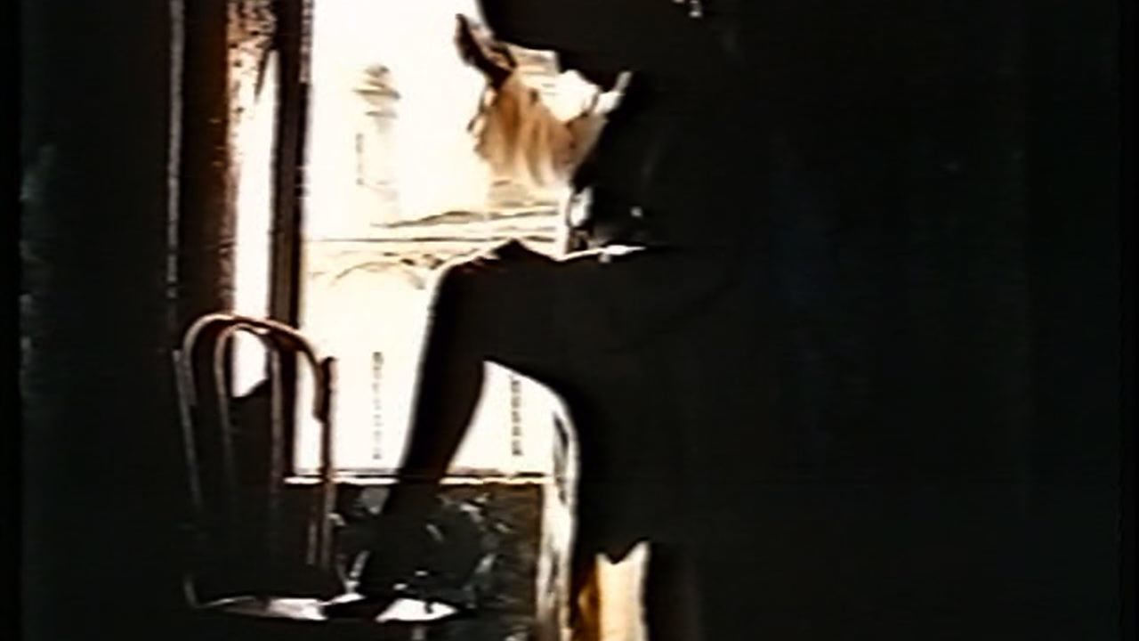 安娜·卡拉马佐夫剧照的剧照