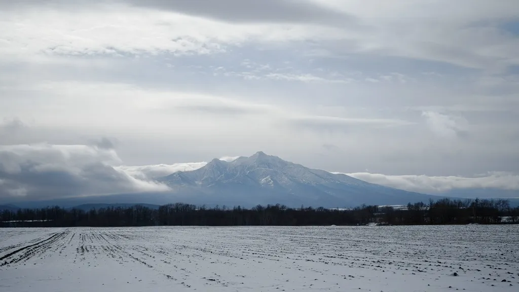 斜里剧照的剧照