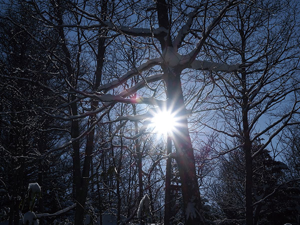 斜里剧照的剧照