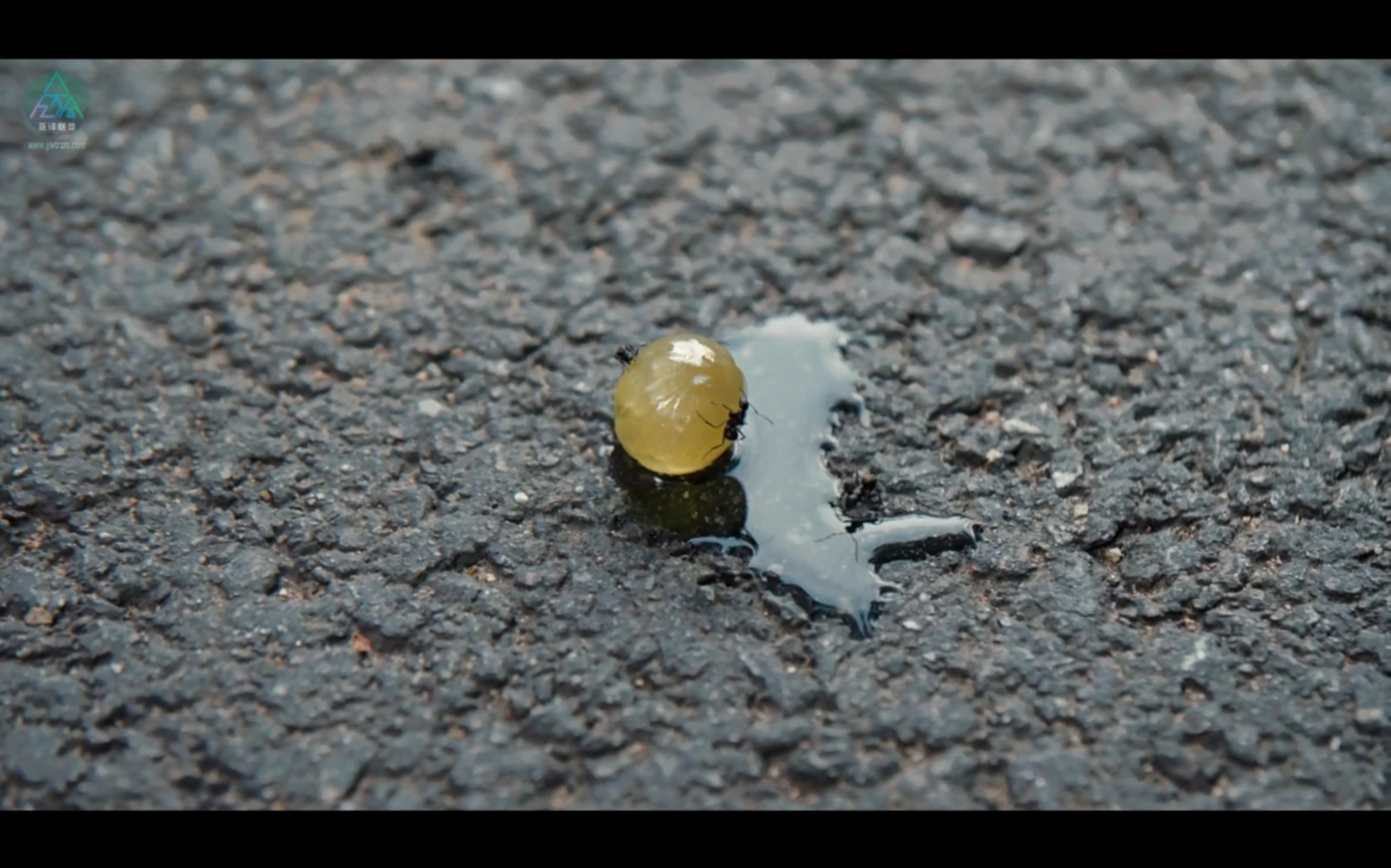 最好的生活剧照的剧照